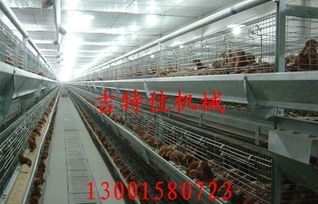 山東省五蓮縣吉特佳畜牧機(jī)械廠
