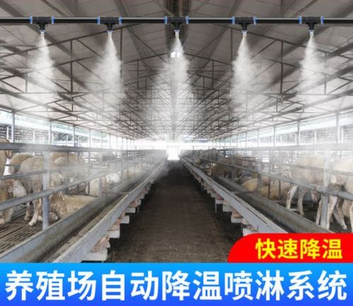 重慶畜牧場車輛噴淋消毒通道廠家